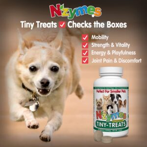 Nzymes® Antioxidant Tiny Treats - for Dogs Joints, HIPS, Paralysis, Skin, Coat, Hair Loss, Aging, Digestion, Seizures - Dog Treats for Small Dogs - 90 Treats - Made in The USA