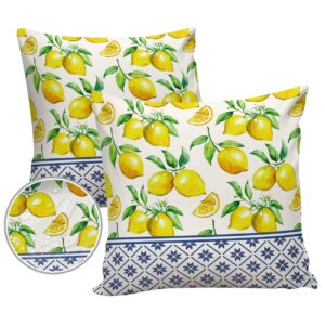 Throw Pillows for Couch Pack of 2 Waterproof Throw Pillow Covers 16x16 Inch, Outdoor Pillows Cushion Case for Bed Sofa Outdoor Furniture, Summer Lemon Texture Decorative Pillows Cover