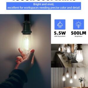 Lumiverse Edison Light Bulbs 60 Watt, 4000K Cool White, Non-Dimmable, Vintage Light Bulbs, E26 Medium Base ST19 Antique LED Filament Bulbs, Clear Glass, Pack of 6