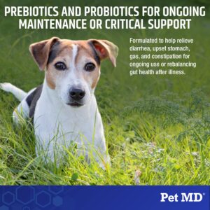 Pet MD Biotic Probiotics for Dogs & Cats - Prebiotic, Fiber, & Probiotic Powder - Gas, Constipation Relief, & Anti Diarrhea - Balance Digestive Flora & Restore Gut Health for Dogs & Cats - 2.12 oz