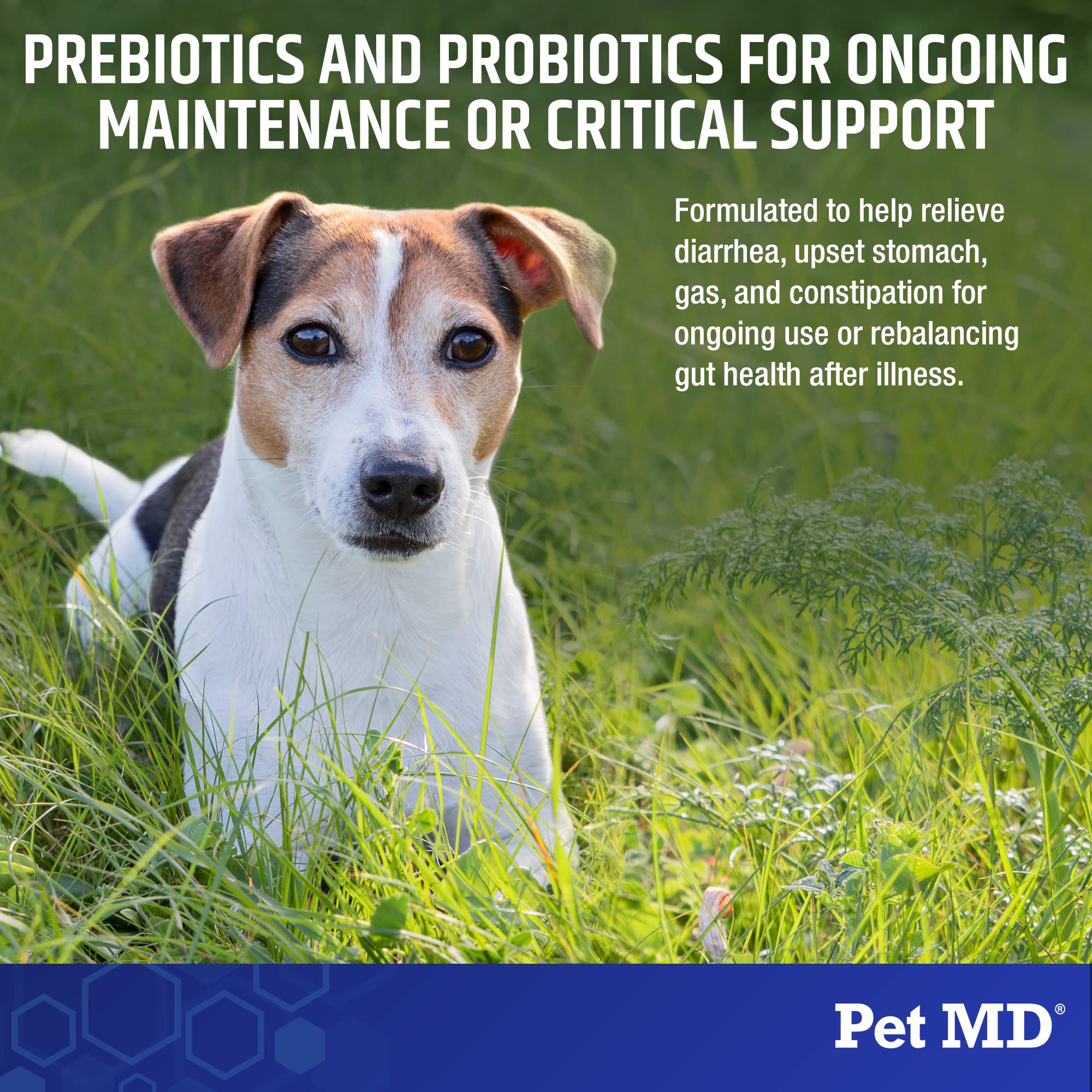 Pet MD Biotic Probiotics for Dogs & Cats - Prebiotic, Fiber, & Probiotic Powder - Gas, Constipation Relief, & Anti Diarrhea - Balance Digestive Flora & Restore Gut Health for Dogs & Cats - 2.12 oz