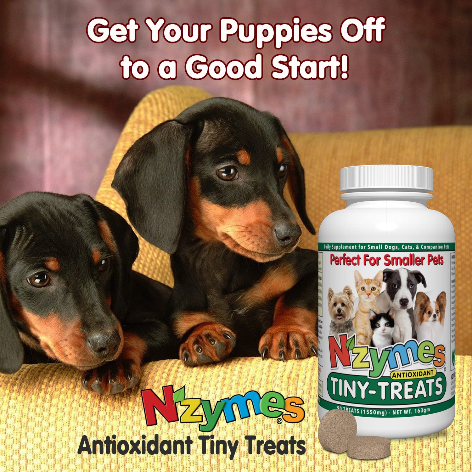 Nzymes® Antioxidant Tiny Treats - for Dogs Joints, HIPS, Paralysis, Skin, Coat, Hair Loss, Aging, Digestion, Seizures - Dog Treats for Small Dogs - 90 Treats - Made in The USA