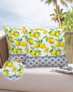 throw pillows for couch pack of 2 waterproof throw pillow covers 16x16 inch, outdoor pillows cushion case for bed sofa outdoor furniture, summer lemon texture decorative pillows cover