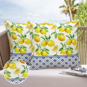 Throw Pillows for Couch Pack of 2 Waterproof Throw Pillow Covers 16x16 Inch, Outdoor Pillows Cushion Case for Bed Sofa Outdoor Furniture, Summer Lemon Texture Decorative Pillows Cover