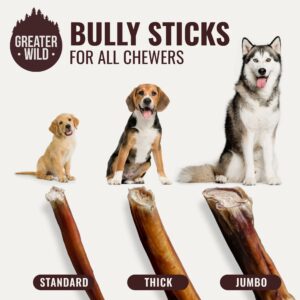 GREATER WILD 12 Inch Bully Sticks Dog Treats, 12 Pack, Standard Thickness - Single Ingredient 100% All Natural Beef, Long Lasting Dog Chews