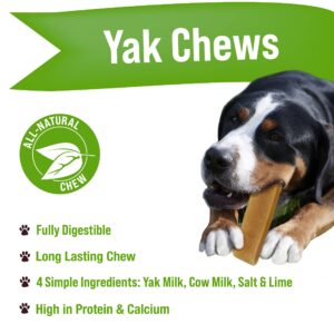 Buck Bone Organics Yak Cheese Chews for Dogs, All Natural Himalayan Yak Chew, Long Lasting Pet Treats, Odor Free, with Limited Ingredients (1 Ex Large Stick)