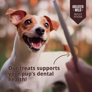 GREATER WILD 12 Inch Bully Sticks Dog Treats, 12 Pack, Standard Thickness - Single Ingredient 100% All Natural Beef, Long Lasting Dog Chews