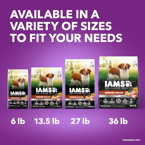 IAMS Advanced Health Immune Health Adult Dry Dog Food Chicken & Exclusive Superfoods Medley Recipe, 13.5 lb. Bag