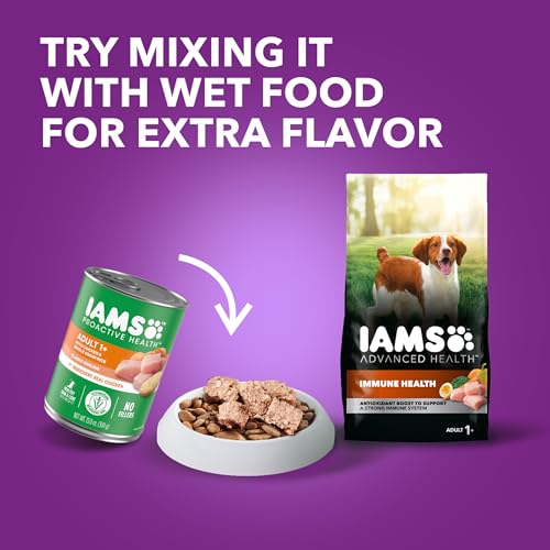 IAMS Advanced Health Immune Health Adult Dry Dog Food Chicken & Exclusive Superfoods Medley Recipe, 6 lb. Bag