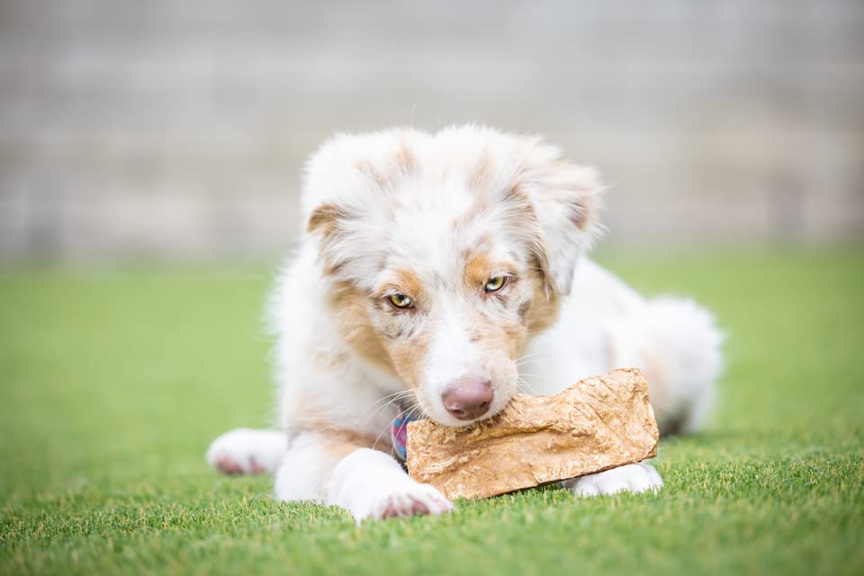 Barking Buddha Beef Cheek Chips | Extra Thick 2"-4" All Natural Rawhide Alternative No Hide Premium Dog Chew Strips | Peanut Butter | (Pack of 3-1LB Bags)