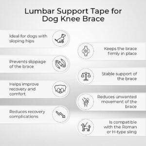 Ortocanis - Knee Brace Fastening Belt for Dog - Prevents Slippage - Improves Stability and Recovery - Size Harness + Leash: L 69-96 cm