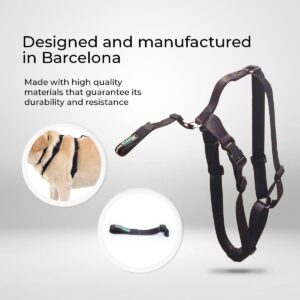 Ortocanis - Knee Brace Fastening Belt for Dog - Prevents Slippage - Improves Stability and Recovery - Size Harness + Leash: L 69-96 cm