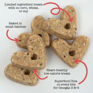 Einstein Pets Everydays Backyard BBQ Crunchy Heart Shaped Treats, All Natural Protein Packed Organic Dog and Puppy Baked Biscuit Training Treat, Pork, Pineapple Honey Recipe with CHIA 6, Ounce Bag