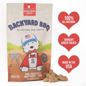 Einstein Pets Everydays Backyard BBQ Crunchy Heart Shaped Treats, All Natural Protein Packed Organic Dog and Puppy Baked Biscuit Training Treat, Pork, Pineapple Honey Recipe with CHIA 6, Ounce Bag