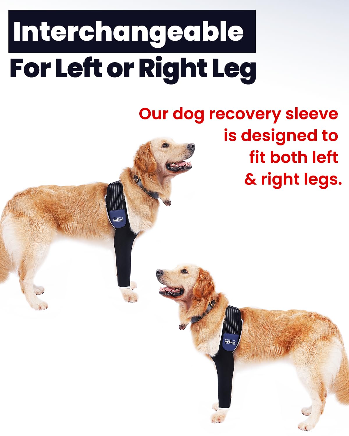 LufeLux Dog Recovery Sleeve, Dog Front Leg Sleeve, Dog Cone Alternative, Shoulder Protect Sleeve for Dog with Strechy Adjustable Elastic Band, for Hot Spots, Wounds, Bandages, Anti Lick for Dog