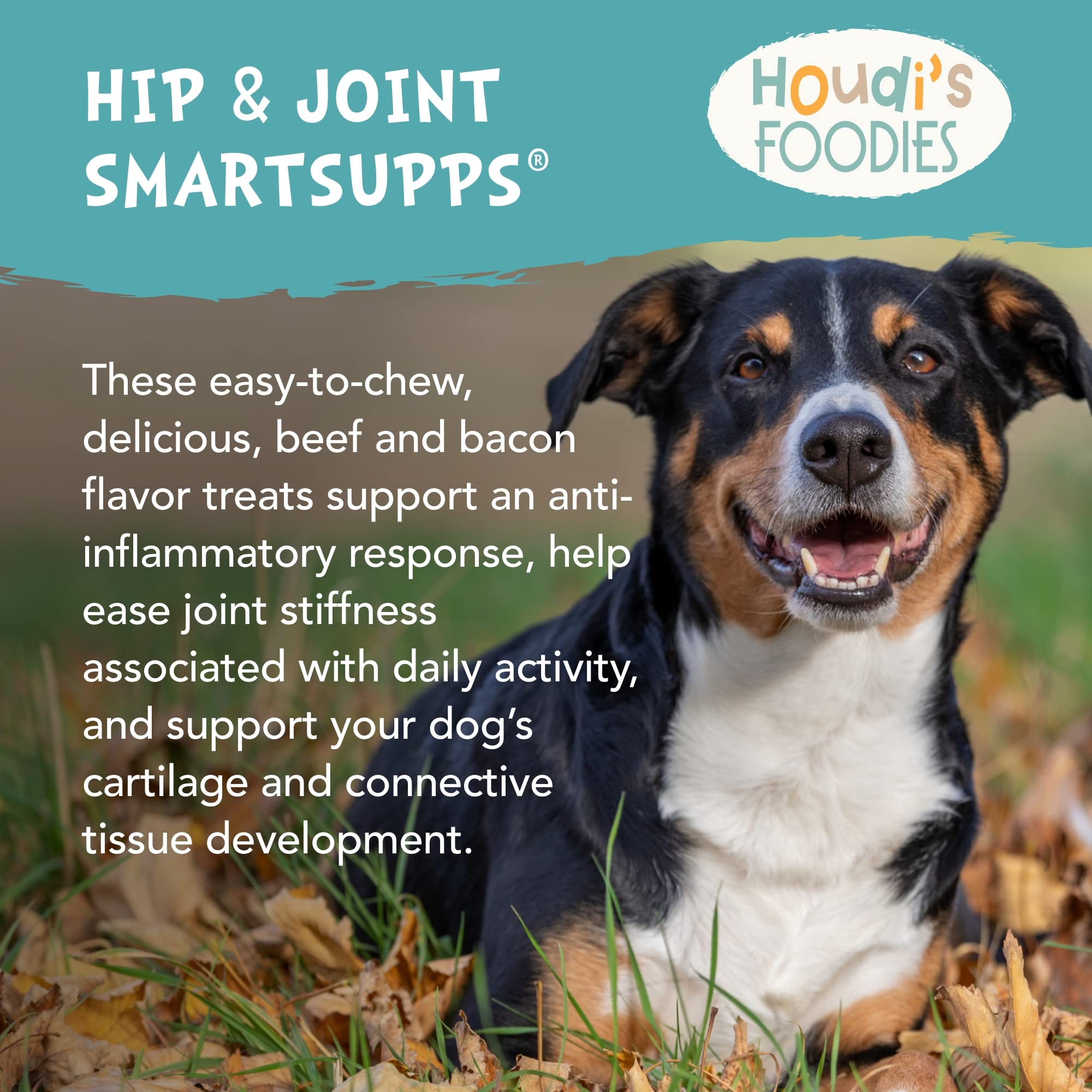 Houdi's Foodies Hip & Joint by North American Herb & Spice - Easy-to-Chew, Veterinarian-Approved SmartSupps for Dogs - Grain Free, Gluten Free & Non-GMO