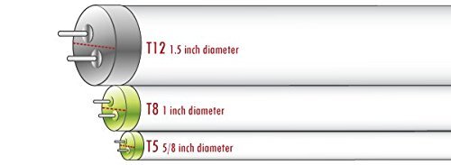 LightWise LWL4W30-F8T5 3pack 3000 Kelvin Warm White 4W LED Tube Direct Replacement Retrofit 8W Fluorescent Tube (12 inch LED Bulb 3pack)