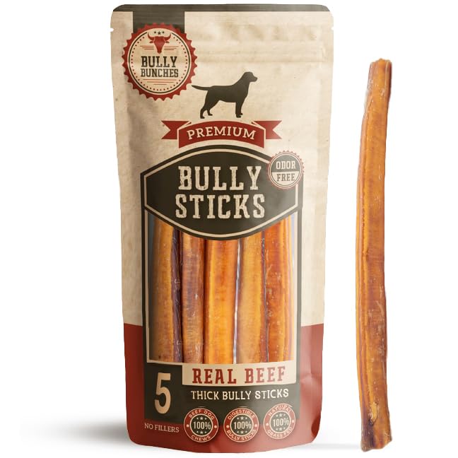 Bully Bunches Premium 12 Inch Thick Odor-Free Bully Sticks for Medium & Large Dogs - Long Lasting Chews for Oral Care - All Natural & Single Ingredient, 100% Beef Dog Treat, Rawhide Free (5 Pk)