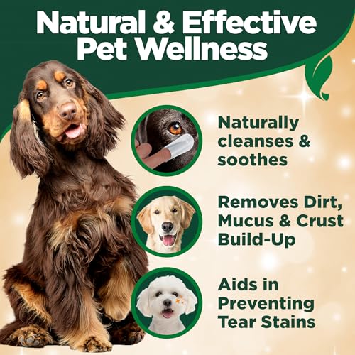 Vet’s Best Eye Cleansing Wipes for Dogs - Tear Stain Remover for Dogs - Easy to Use and Paraben Free - Aloe Vera & Witch Hazel - 50 Count