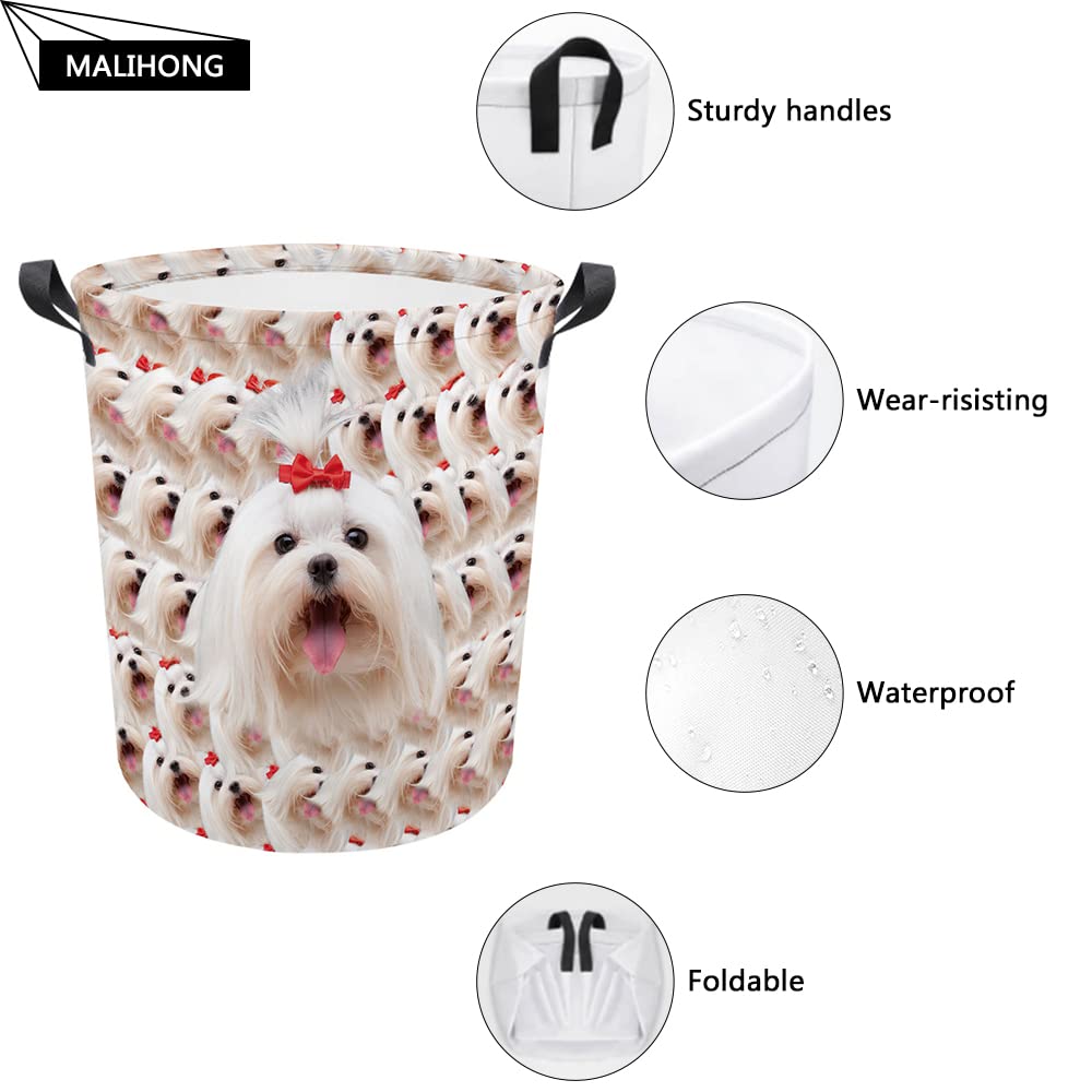 MALIHONG Dog Print Foldable Laundry Basket Cute Havanese Watermelon Laundry Hamper with Handle Toy Box Clothes Washing Storage Bag for Bedroom Nursery