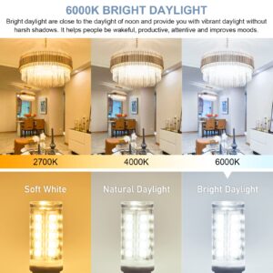 hansang 12 Pack G9 LED Bulb 6000K Cool Daylight for Crystal Chandelier, 4W 40Watt G9 Halogen Equivalent 1.77'' Height Short T4 Light Bulb with G9 Ceramic Bin-pin Base, 400LM, AC 120V, Non-Dimmable