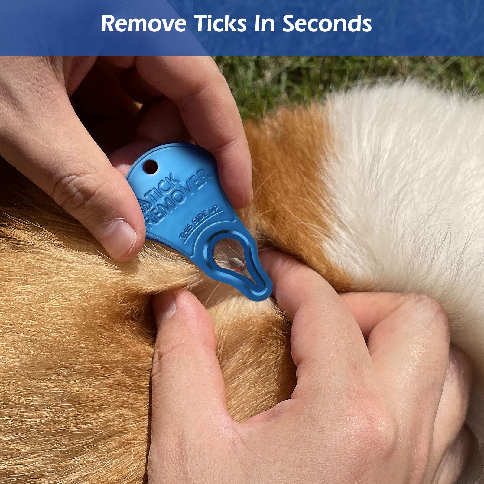 3 Pack Tick Remover Tool Portable, Tick Removal Tool for Pets, Humans and Animals, Safe and Portable, Pain-Free and Effective, Essential Tools for Outdoor Activities