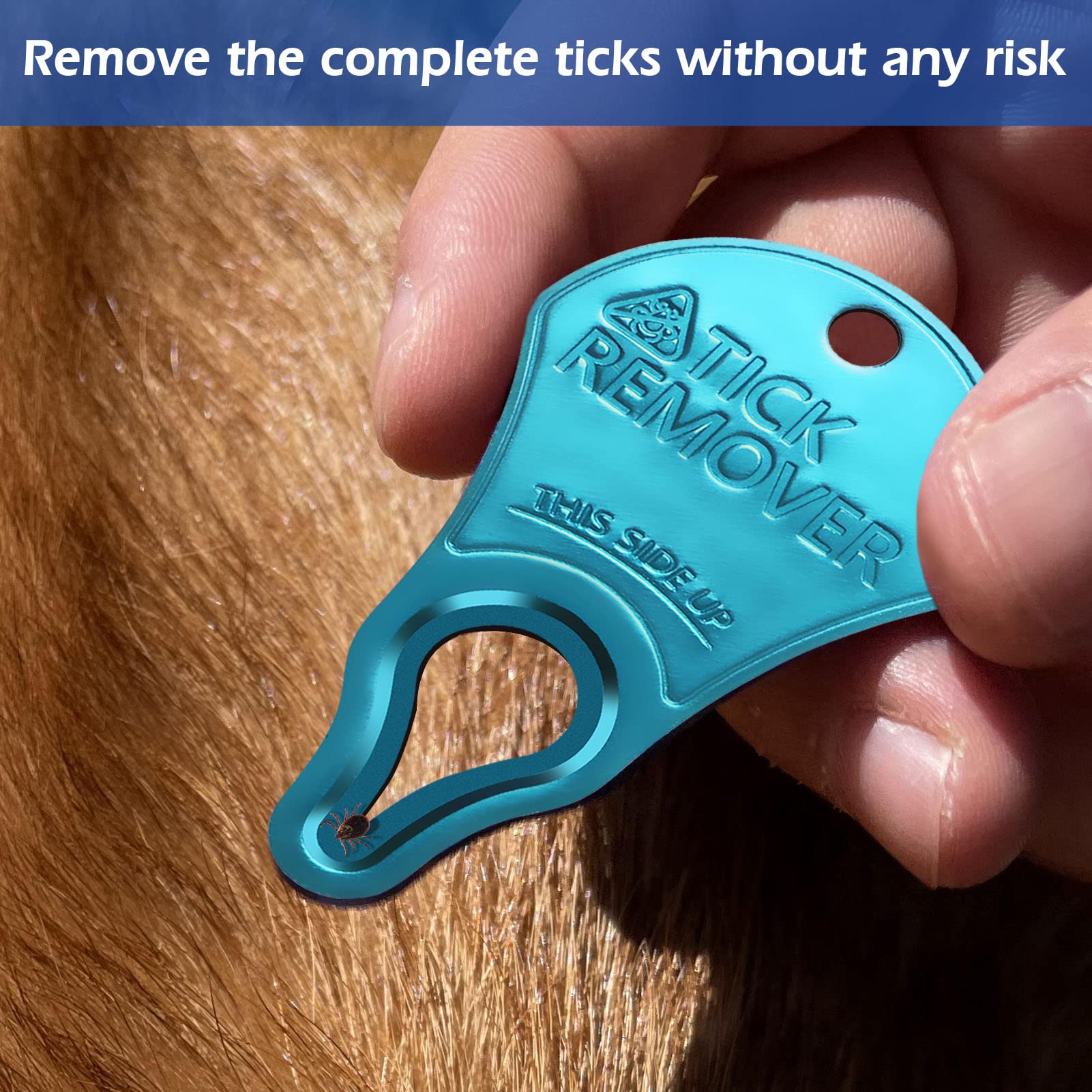 3 Pack Tick Remover Tool for Pets and Humans, Portable Tick Removal, Safe and Fast, Essential and Emergency Tool for Outdoor Activities, Effective and Painless