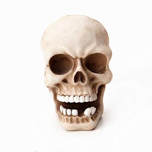 Skull Sculpture Storage Hook Skeleton Wall Mount Resin Creative Ornament Statue for Gift Halloween Party Decor