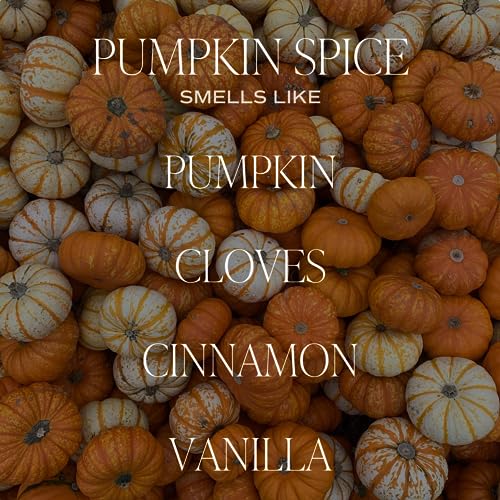 Sweet Water Decor Pumpkin Spice Soy Candle | Pumpkin, Cloves, Buttercream, Cinnamon, Smoke Embers, Vanilla Scented Candle for Home | 9oz Clear Jar Candle, 40 Hour Burn Time, Made in the USA