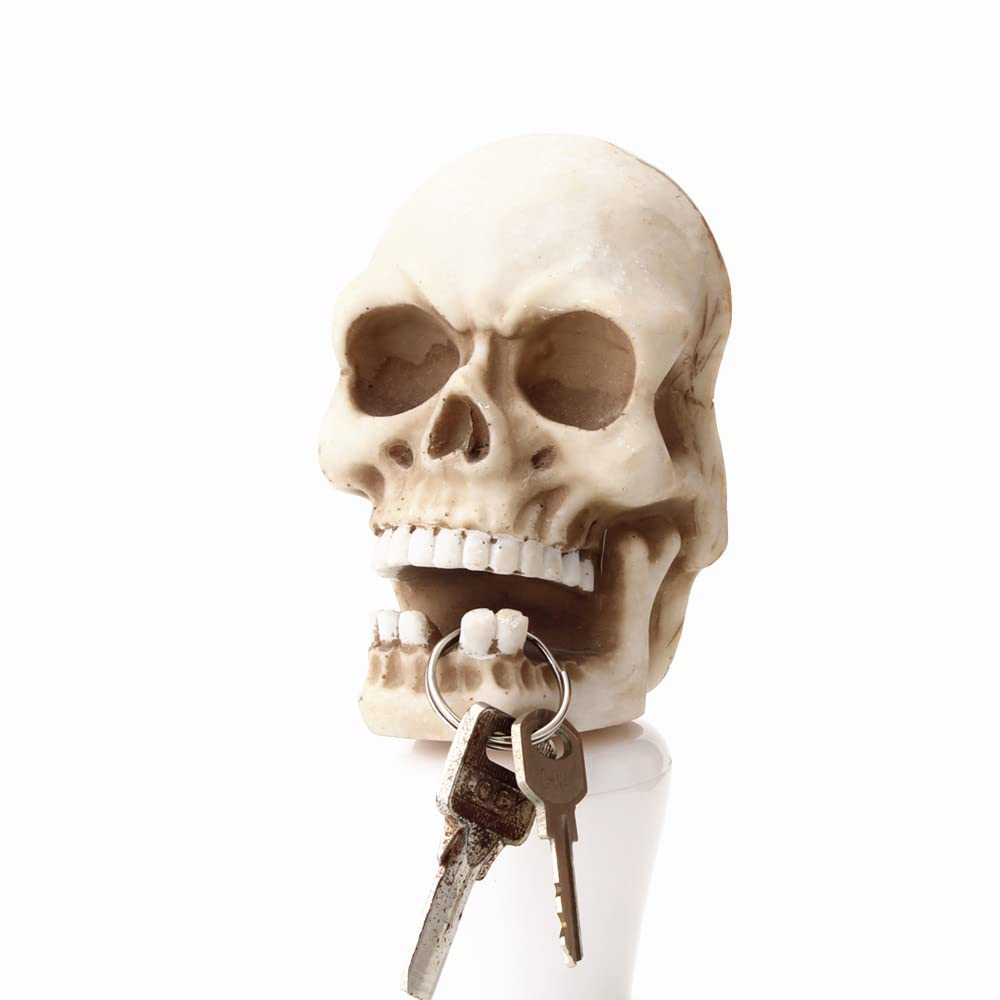 Skull Sculpture Storage Hook Skeleton Wall Mount Resin Creative Ornament Statue for Gift Halloween Party Decor