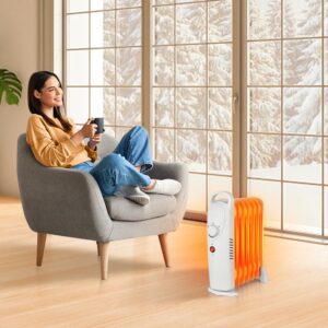 LifePlus Oil Filled Heater, Portable Radiant Space Heater with Energy Saving, Overheat Safety, 700W Small Space Heater Quiet Work for Bedroom, Indoor use (White)