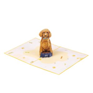 TRUANCE Pop Up Card Dog, Poodle, Special Greeting Card For Mom Dad Daughter On Their Birthday With Blank Note Inside