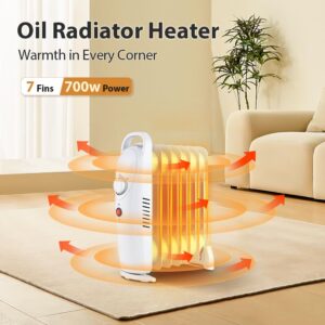 LifePlus Oil Filled Heater, Portable Radiant Space Heater with Energy Saving, Overheat Safety, 700W Small Space Heater Quiet Work for Bedroom, Indoor use (White)