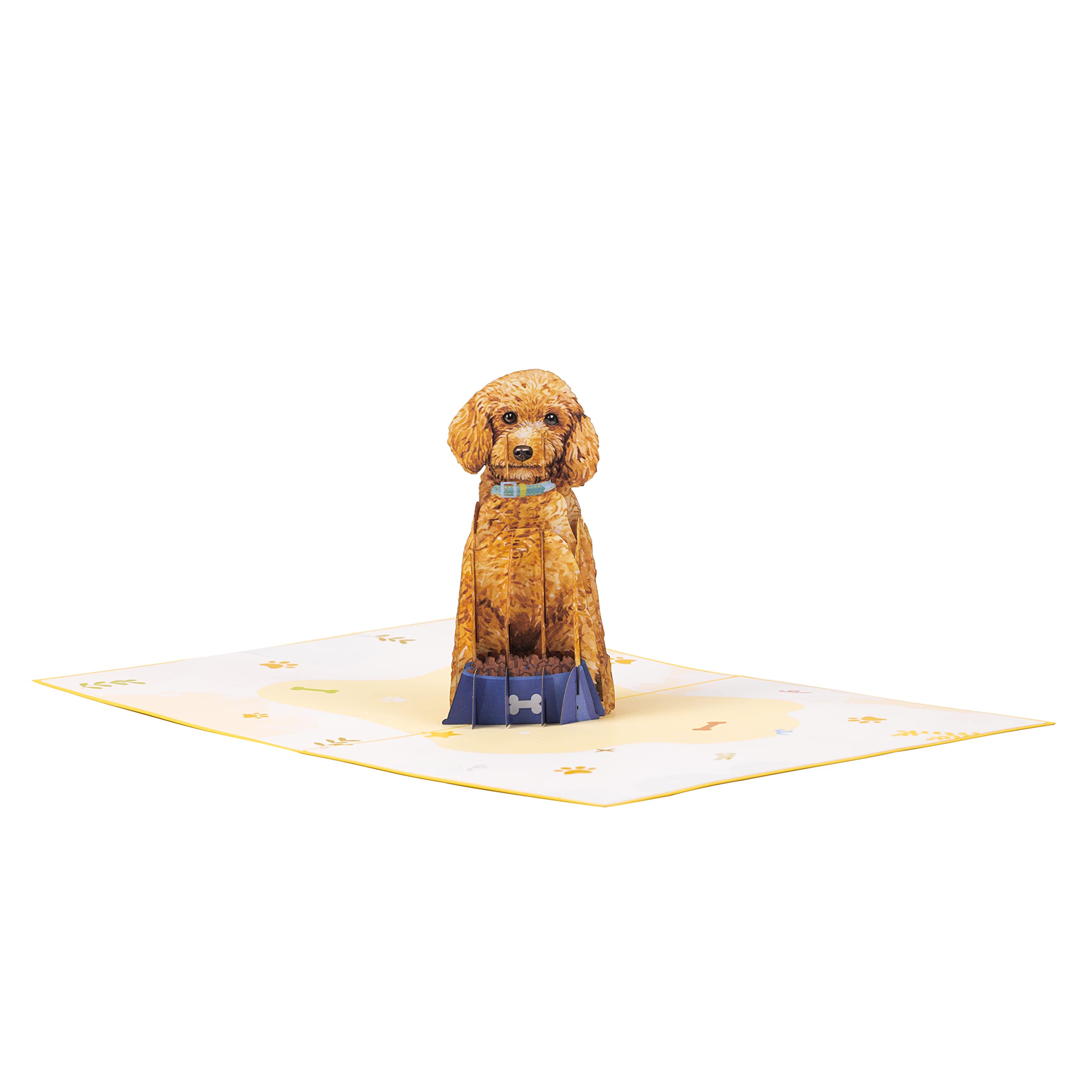 TRUANCE Pop Up Card Dog, Poodle, Special Greeting Card For Mom Dad Daughter On Their Birthday With Blank Note Inside