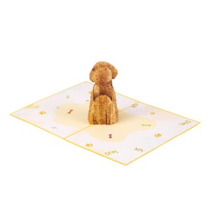 TRUANCE Pop Up Card Dog, Poodle, Special Greeting Card For Mom Dad Daughter On Their Birthday With Blank Note Inside