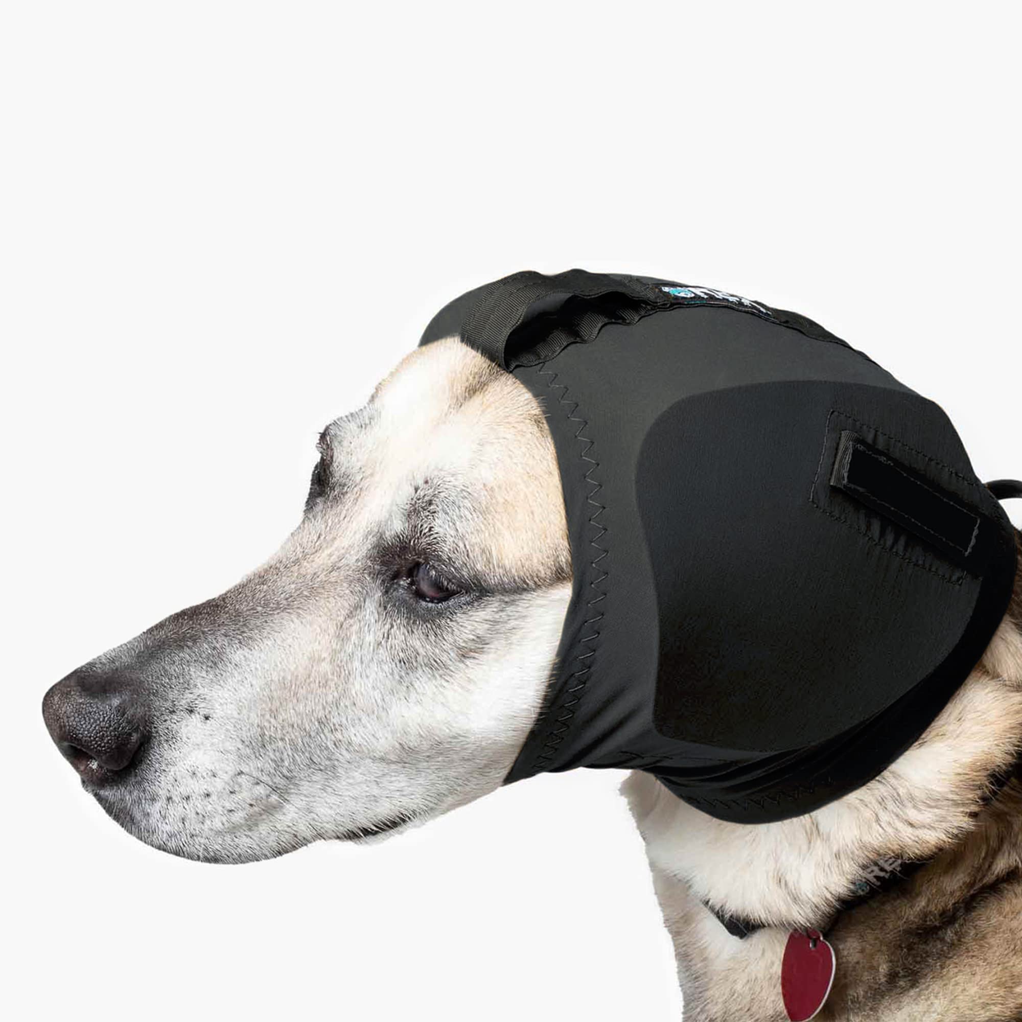 Rex Specs Ear Pro | Noise Cancelling No Flap Ear Wraps for Dogs | Dog Ear Muffs Noise Protection (03, Black)