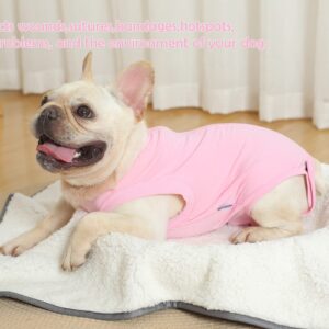 Caslfuca Dog Surgery Recovery Suit - After Spay, Abdominal Wounds Post Surgical Recovery, Anti Licking Breathable Dog Onesies for Small, Medium & Large Pet, Alternative Bandages Cone E-Collar