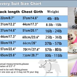 Caslfuca Dog Surgery Recovery Suit - After Spay, Abdominal Wounds Post Surgical Recovery, Anti Licking Breathable Dog Onesies for Small, Medium & Large Pet, Alternative Bandages Cone E-Collar