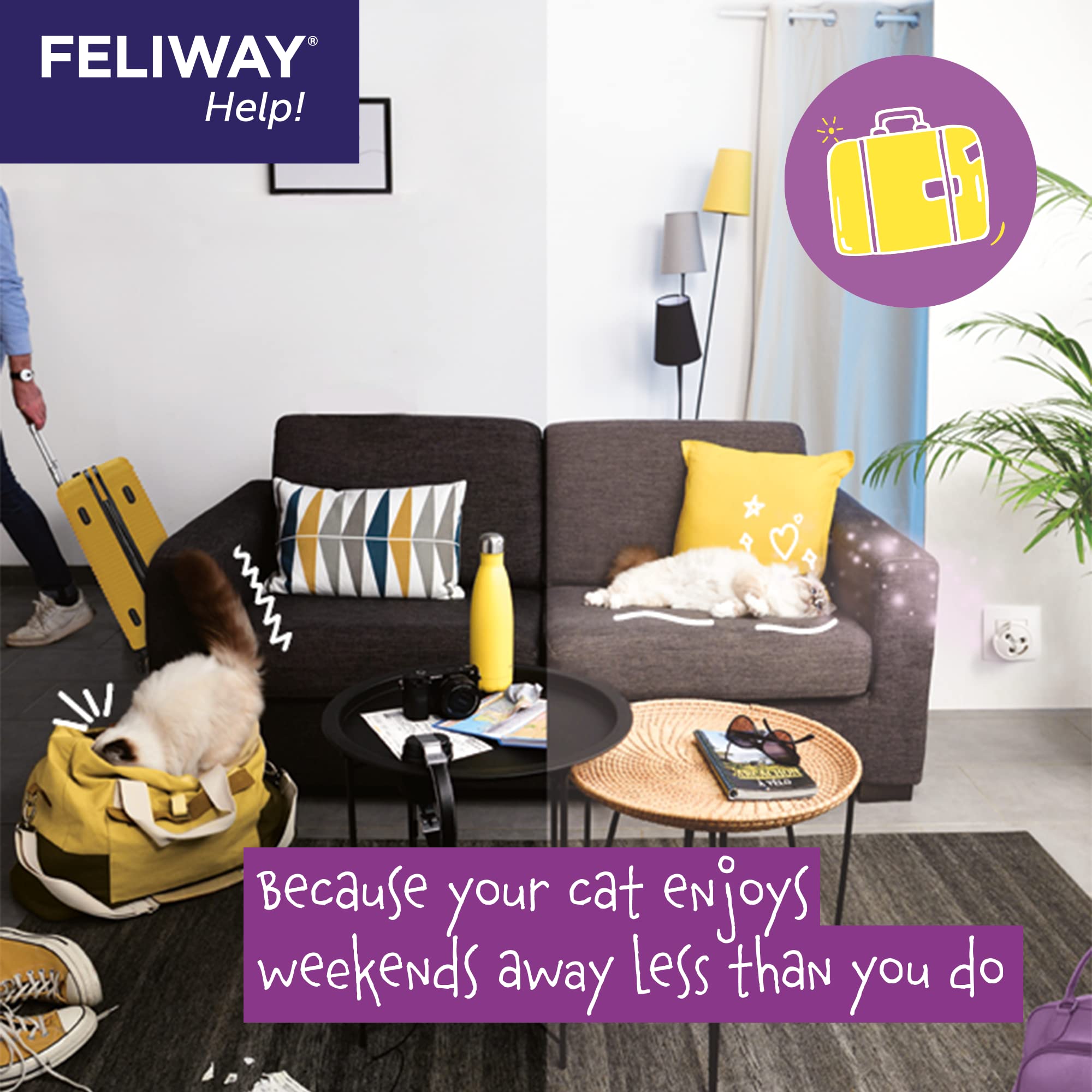 FELIWAY® Help! Cat Calming Pheromone Refills (7 days), 3-Pack