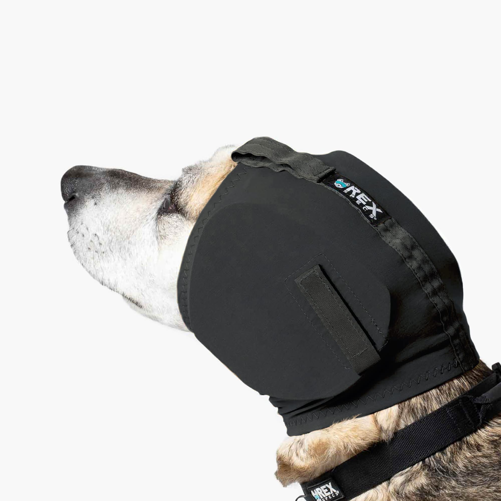 Rex Specs Ear Pro | Noise Cancelling No Flap Ear Wraps for Dogs | Dog Ear Muffs Noise Protection (03, Black)