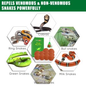 10 Pack Snake Repellent for Outdoors Pet Safe, Green Snake Repellent for Yard Powerful for Repelling Snakes and Other Pests, Snake Away Repellent for Outdoors Indoors Lawn Garden Camping Fishing