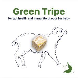 Kōrure Pets Dog Green Tripe Bites