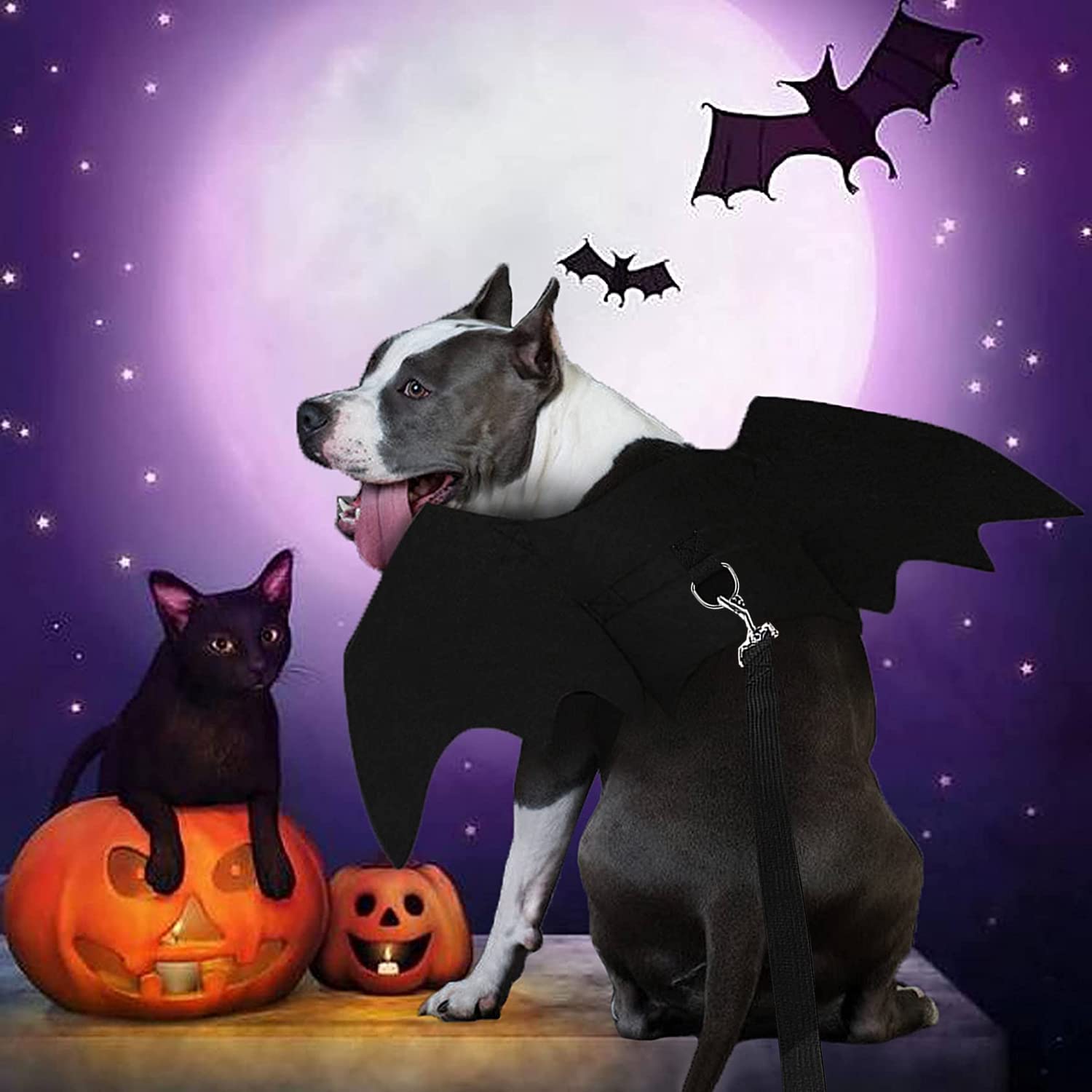 Strangefly Halloween Dog Bat Costume, Dog Bat Wings with Pet Leads, Funny Dog Cool Apparel Decoration, Dress Up Party Accessories for Cat Puppy Small Medium Large Dog Doggy Outfits (Small)