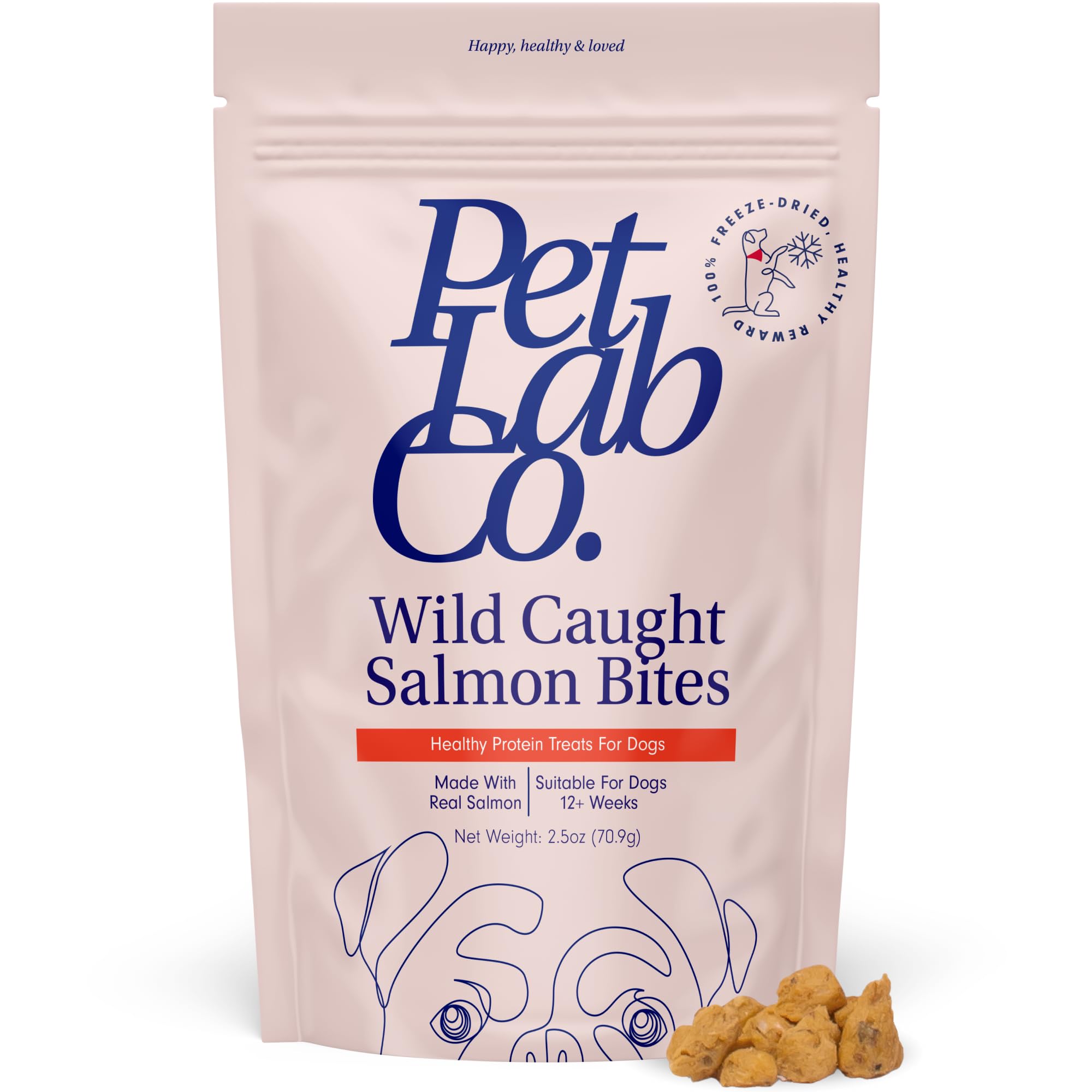 Petlab Co. Wild Caught Salmon Freeze-Dried Dog Treats - Support Overall Skin Health with Healthy Dog Treats. Packed with Beneficial Fatty Acids, Vitamins, & Minerals. Delicious Reward