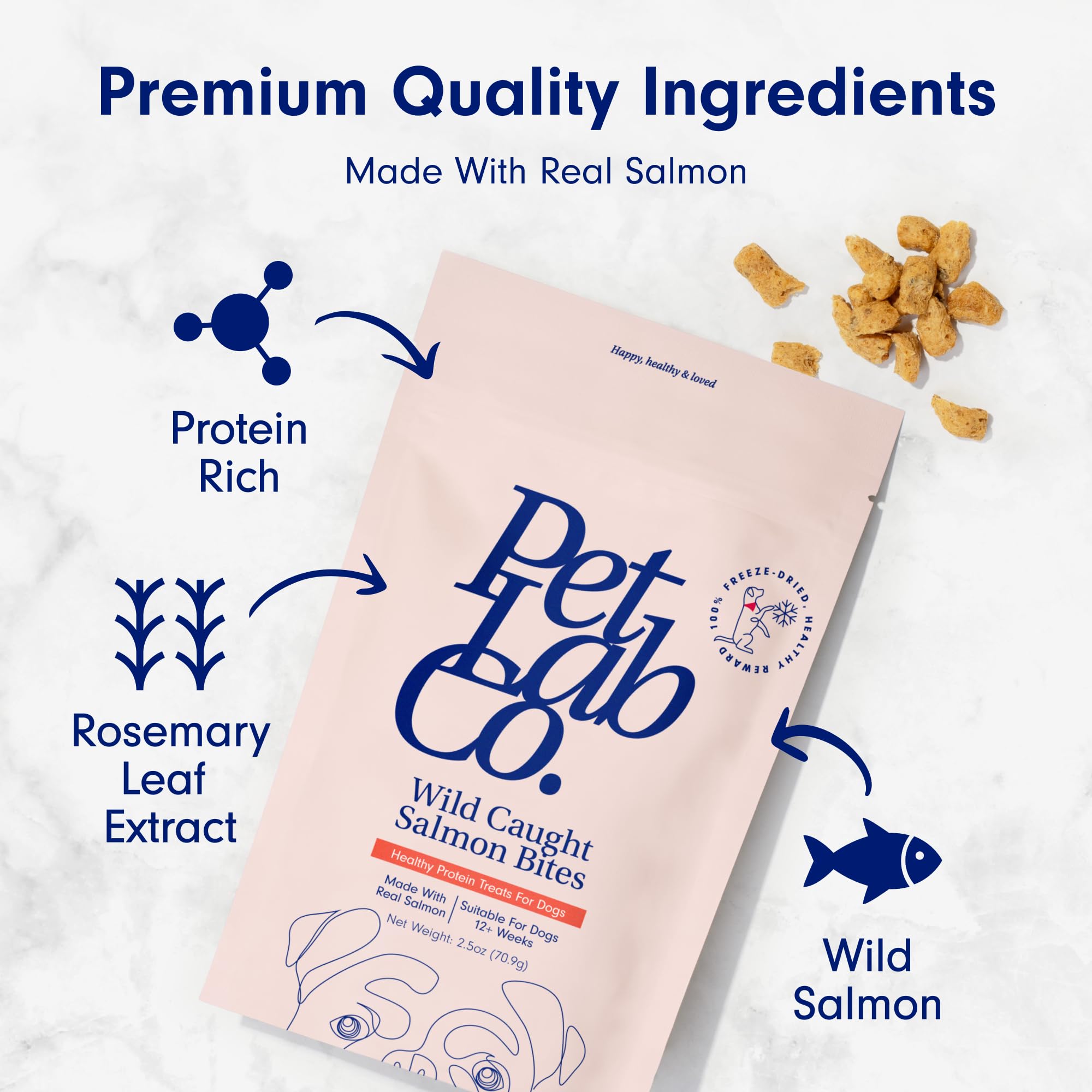 Petlab Co. Wild Caught Salmon Freeze-Dried Dog Treats - Support Overall Skin Health with Healthy Dog Treats. Packed with Beneficial Fatty Acids, Vitamins, & Minerals. Delicious Reward