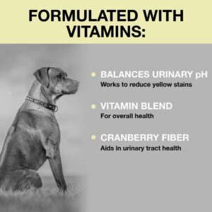 Nutriline Labs Yellow-Away Dog Urine Neutralizer for Lawn - Helps Balance Pee pH - Dog Supplement with Vitamin B Blend, Probiotics, Cranberry Fiber, DL-Methionine, Yuca - Beef Flavor, 120 Soft Chews