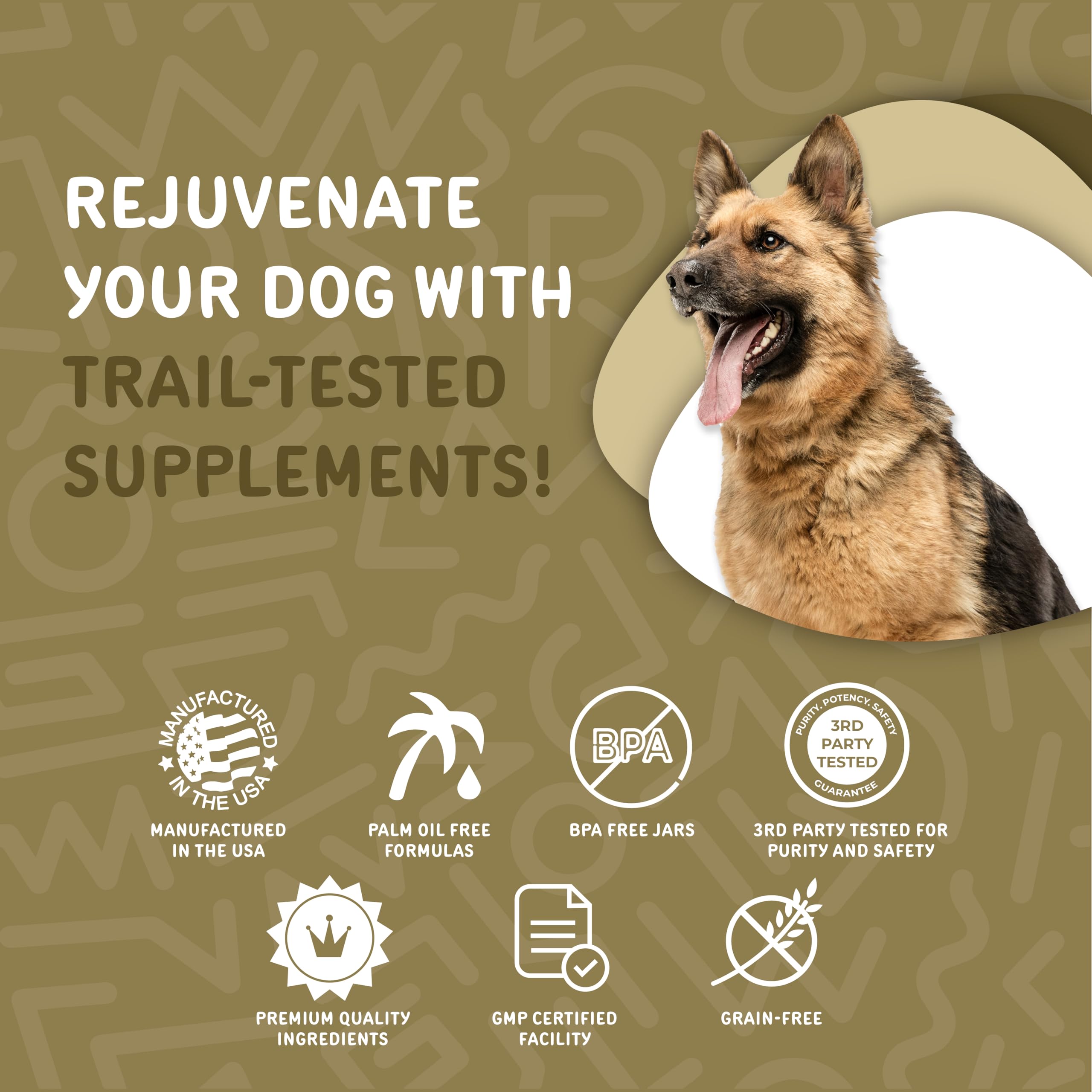 waggedy Daily Essentials Adult Soft Chews — Dog Multivitamin & Immune System Supporter — Dog Nutritional Supplement — Small/Large Dog Supplements & Vitamins (120 Chews)