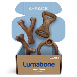 lumabone real bacon medium 4-pack durable dog chew toys for aggressive chewers, made in usa – wishbone, ring stuffer, dental chew, stick