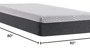 Sealy Essentials 12" Memory Foam Bed in Box, Queen