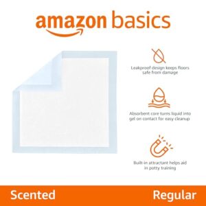 Amazon Basics Absorbent Puppy Pads for Potty Training and Incontinence, 5-Layer Leak-Proof Design, Quick-Dry Surface, Regular Size, 22 x 22 Inch, Scented, Pack of 100, Blue & White